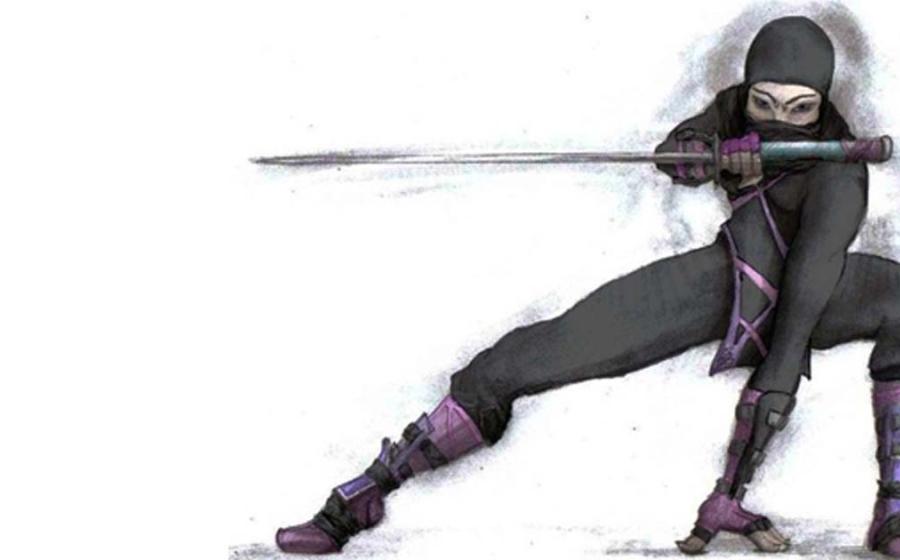 Deadly Female Ninja Assassins Used Deception and Disguise to Strike Their Target