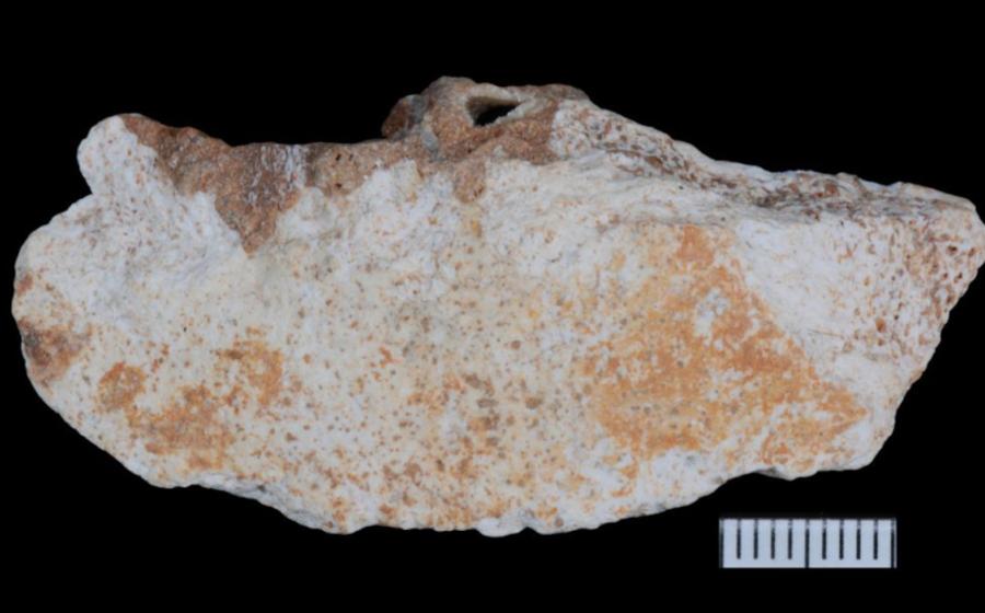 Fragment of Denisovan skull found in Bianfu Cave, China