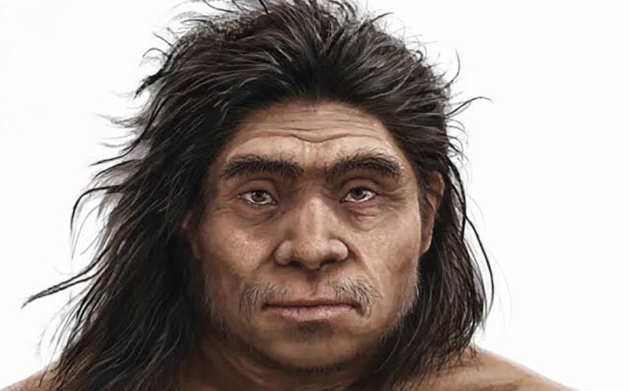 An illustrated reconstruction of a Denisovan, provided by the authors of the study.
