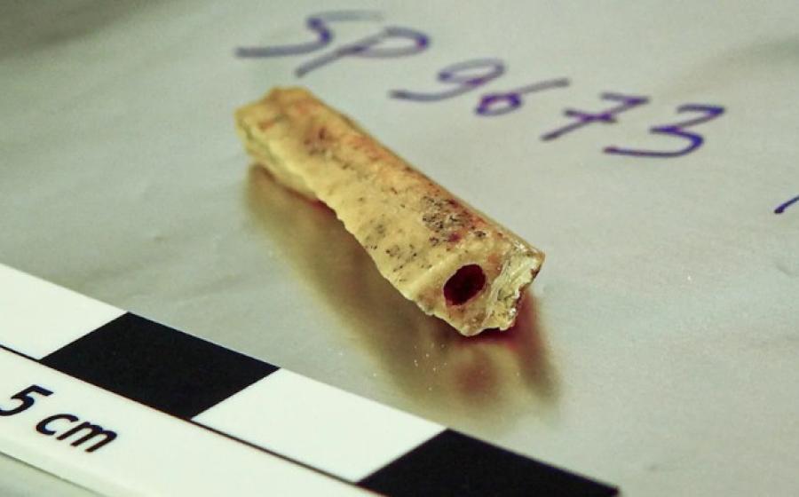 Bone fragment from a male Neanderthal in Denisova Cave, known as D1