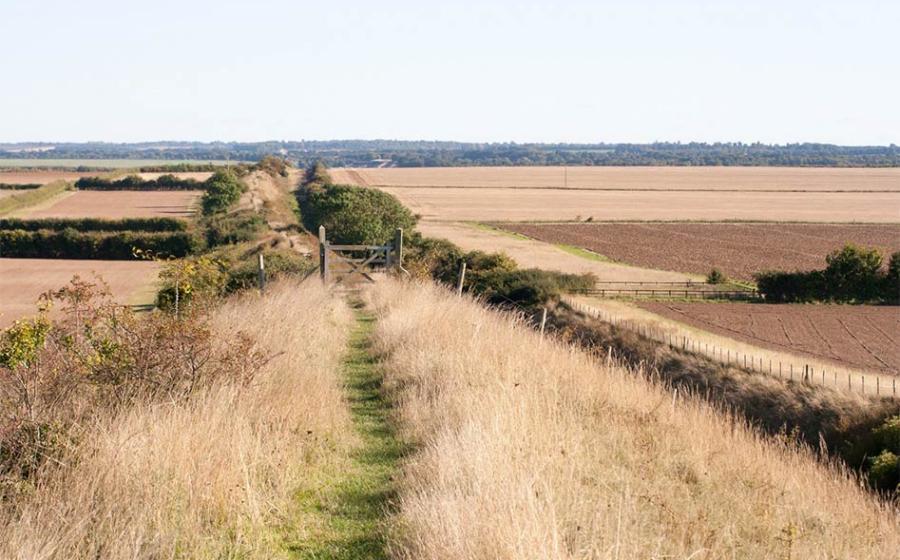 A new report by the local council has highlighted problems being caused by hikers and tourists along the Devil’s Dyke in Cambridgeshire. Source: Rob Mills / CC BY-NC-SA 2.0