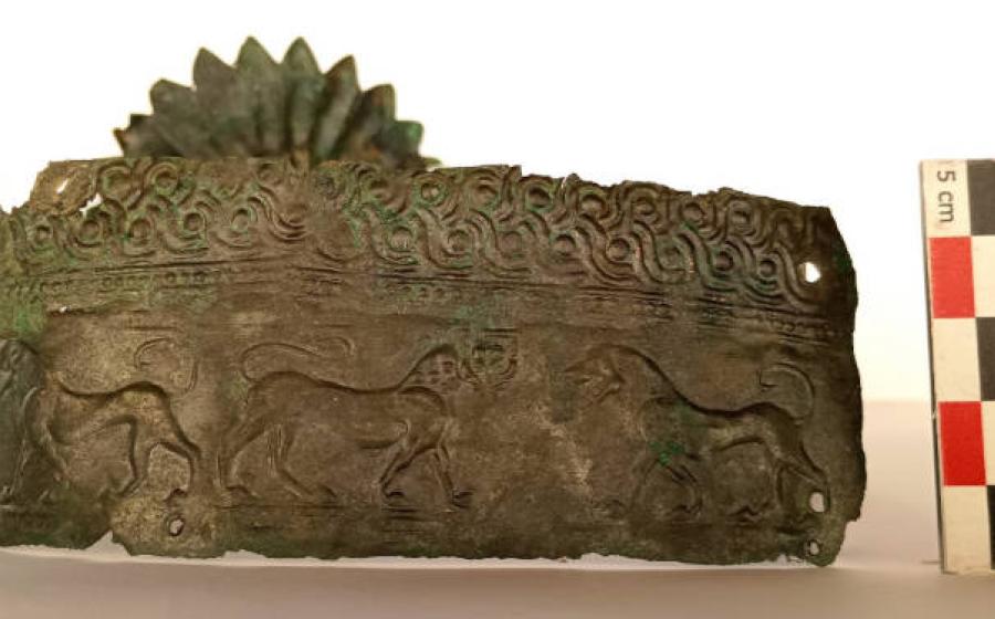 The diadem crown showing the loins, a sign of noble status. 