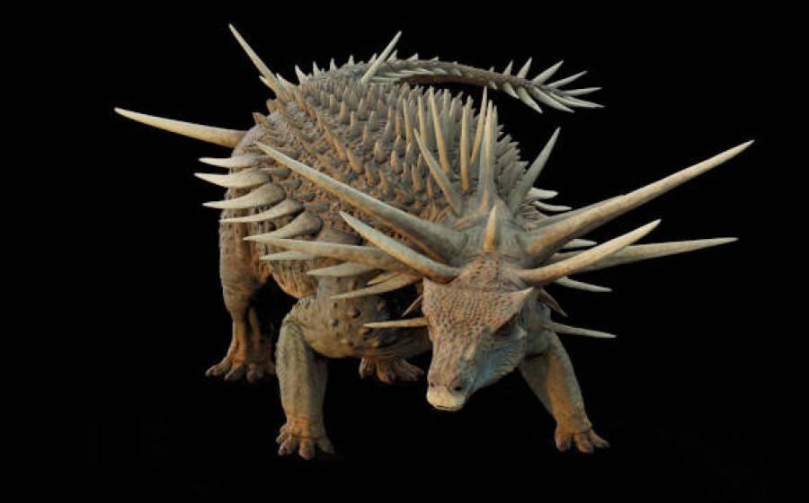 Artistic reconstruction of Spicomellus afer 