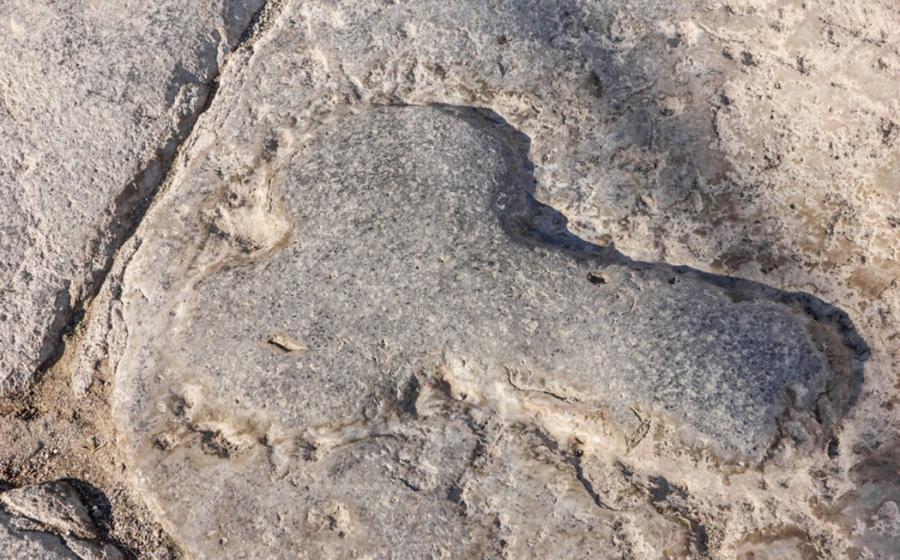 Phallus symbol in Pompeii, Naples, Italy 
