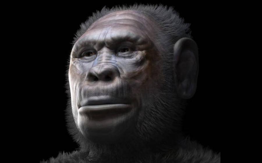 A facial reconstruction representing a male individual of Homo georgicus