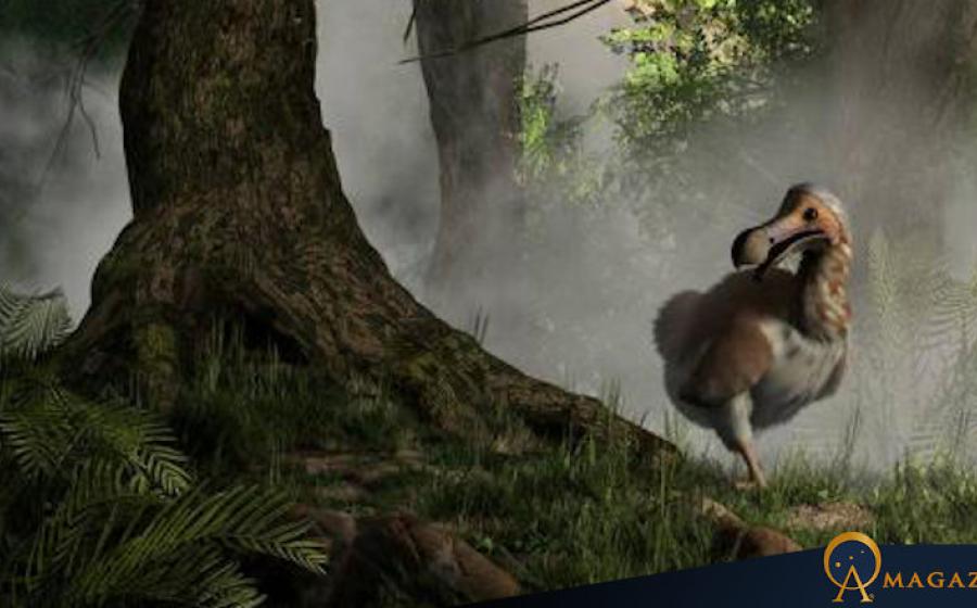 A now-extinct Dodo bird emerging from the mist.