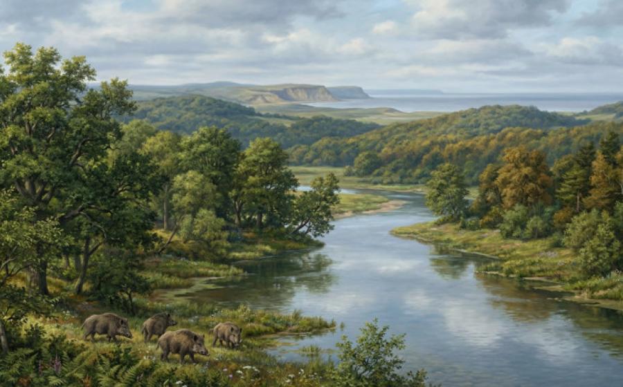 Representation of how Doggerland may have looked.