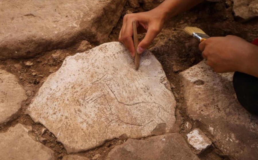 Donkey Motif At Karahan Tepe Adds New Layer to Life at the Site
