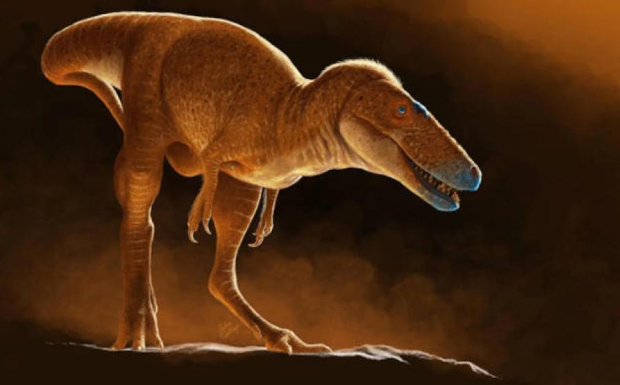 An 85-million-year-old Mongolian dinosaur named Khankhuuluu mongoliensis, seen here in an artist’s reconstruction.