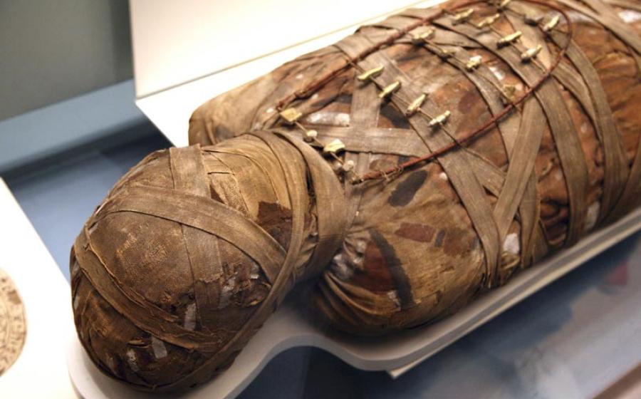 Egyptian Mummy. 