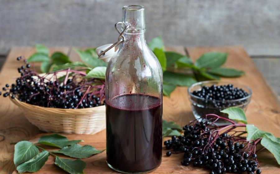 Elderberry remedy as a syrup with fresh elderberries in the background.         Source: Madeleine Steinbach / Adobe stock