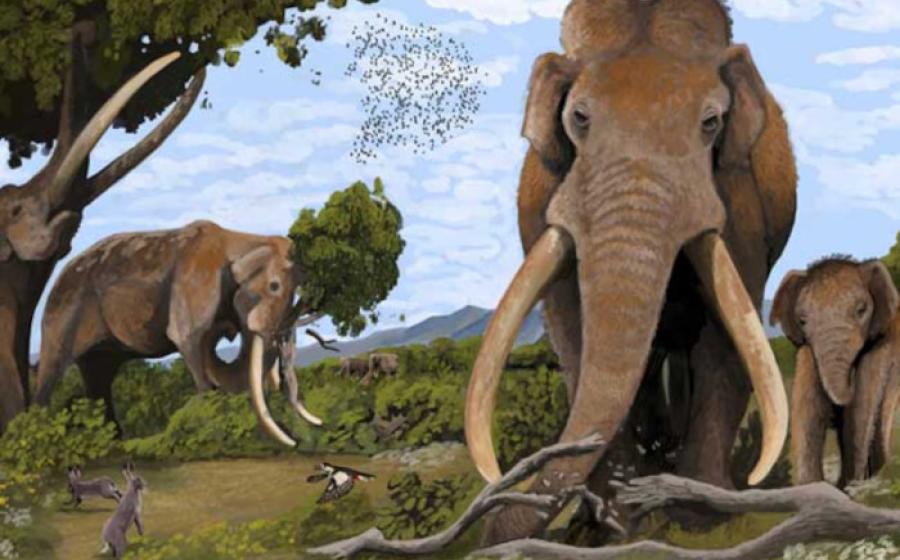 Artist's impression of straight-tusked elephants (Palaeoloxodon antiquus) in prehistoric Europe.