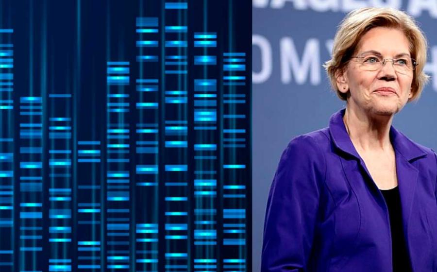 Elizabeth Warren’s DNA test results for Native American ancestry created a lot of controversy. Source: Gage Skidmore / CC BY-SA 2.0, MicroOne /Adobe Stock