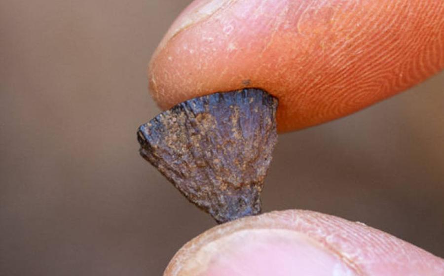 A piece of iron pyrite found at the Barnham site evidence of first known deliberate creation of fire.