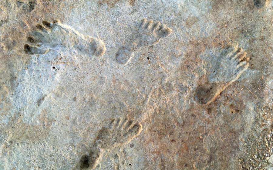 Fossilized human footprints preserved in the mud of ancient Lake Otero, White Sands National Park, New Mexico