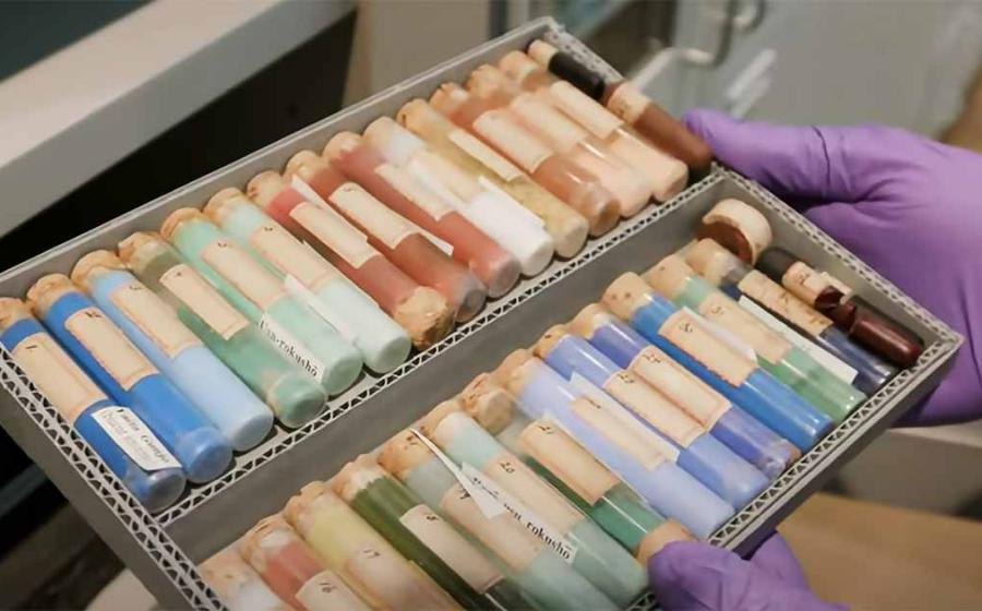 Forbes pigment collection. Source: YouTube Screenshot / Great Big Story.