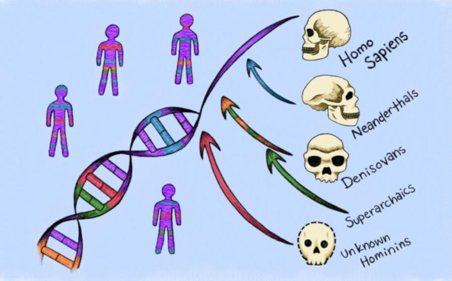 Graphic showing known and genetic ghost ancestors found in our DNA.