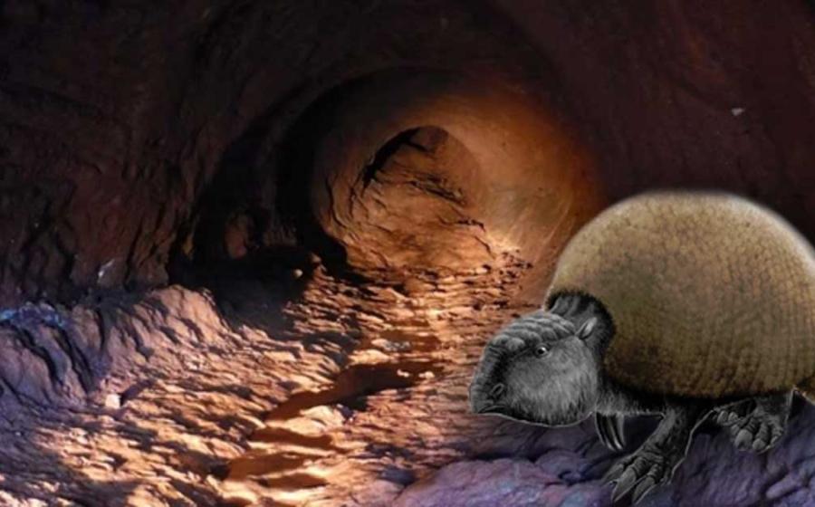 A fictional animal based on the glyptodon and a palaeoburrow (ichnofossil) found in the State of Rio Grande do Sul, Brazil. Scientists say that this mega-tunnel was created by a long extinct species.