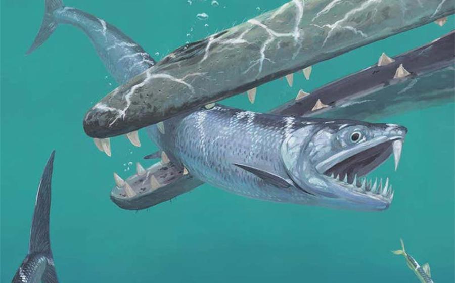 Scientists studying 55-million-year-old fossils using groundbreaking tech have revealed that after the extinction of dinosaurs, giant anchovies roamed the sea. Pictured: Artist’s impression of saber-toothed anchovy being caught by an early whale.   Source: © Joschua Knüppe