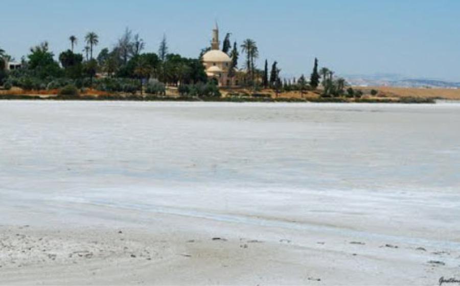  Hala Sultan Tekke