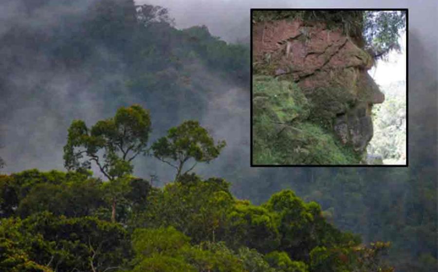 Main: The Amazon rainforest. Inset: The Harakbut Face. Source: vaclav / Adobe Stock and Arqueologia Revelada 