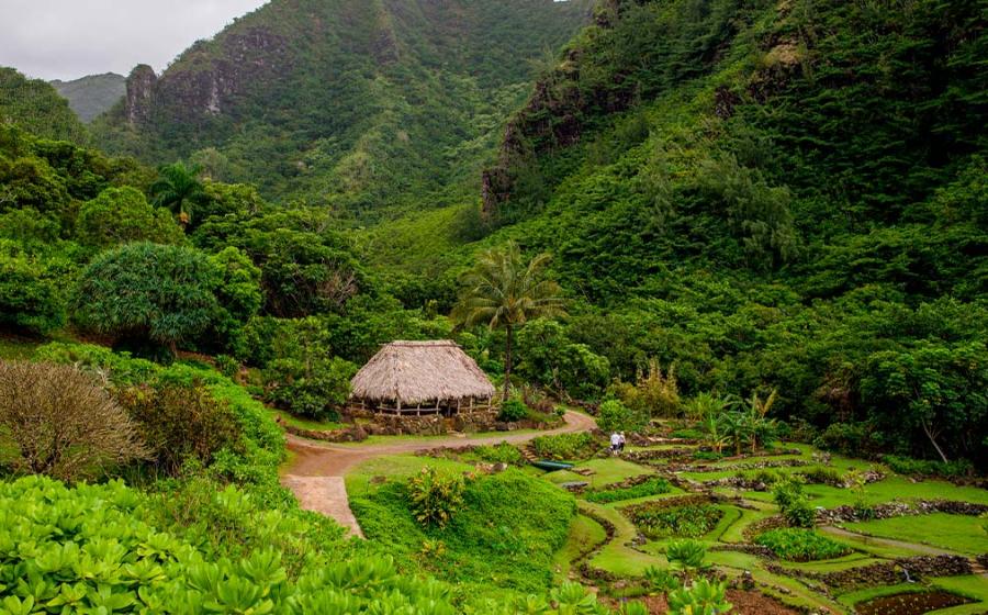 Limahuli Garden Preserve, Hawaii. Source: stevengaertner / Adobe Stock.