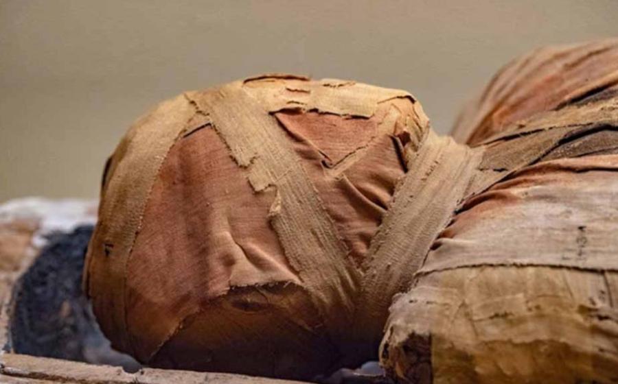 Head and shoulders of an Egyptian mummy