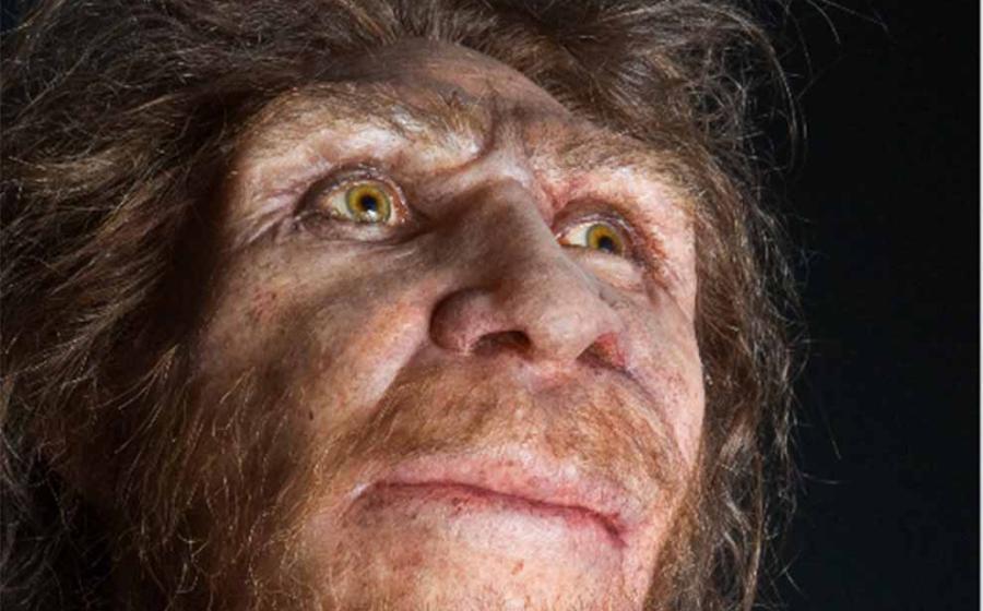 Homo heidelbergensis facial reconstruction.	Source:	Labrado/Adobe Stock	