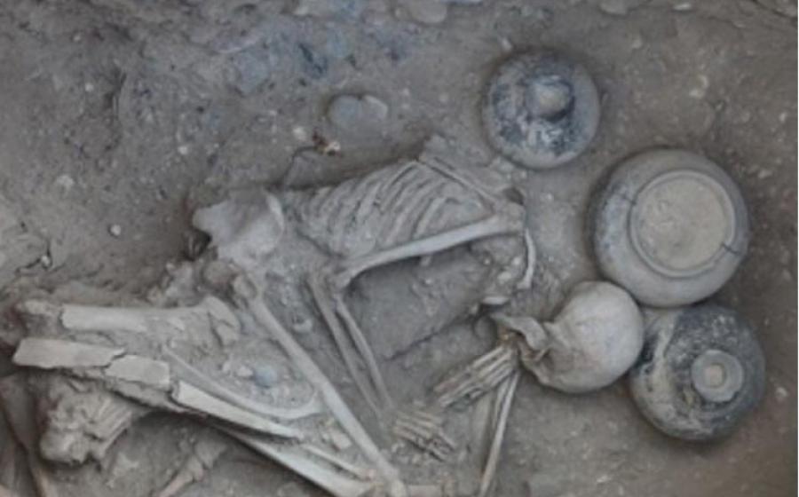 Human remains at the necropolis, (2013) Karmir Blur, Armenia (vchechne.ru)
