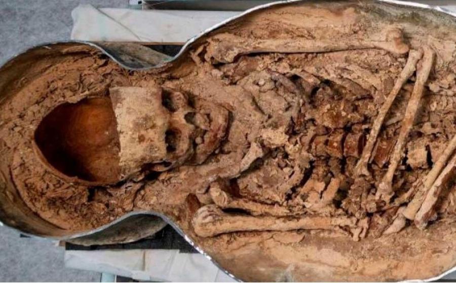 The elongated skull of a nobleman found in one of two lead-line sarcophagi interred in Notre Dame Cathedral.