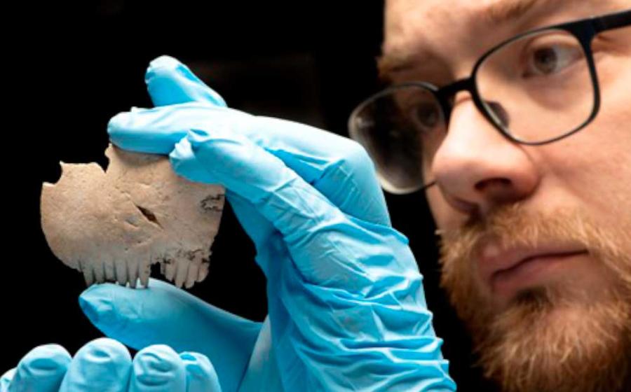 The Iron Age comb found in Cambridge, UK.	Source: MOLA