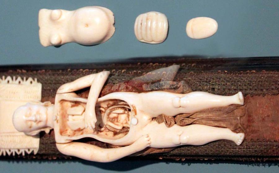 The Mysterious World of 17th Century Ivory Anatomical Manikens.