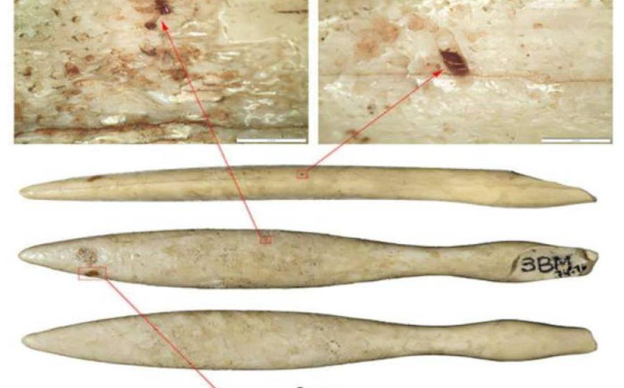 The hippopotamus ivory object from northeastern Iberia.