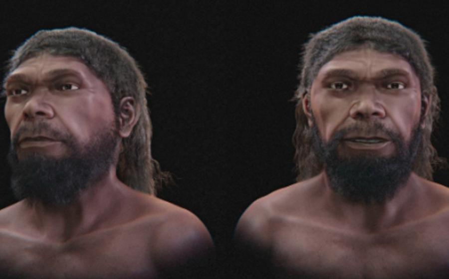 Two views of the proposed Jebel Irhoud face; whose hair, facial hair and pigmentation are artistic choices.