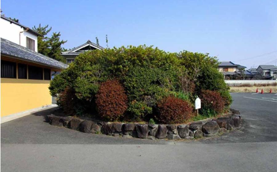 The ancient stone burial chamber was found under this shrubbery, found within a parking lot located in Ikaruga, Nara Prefecture. Source: Ikaruga Municipal Board of Education