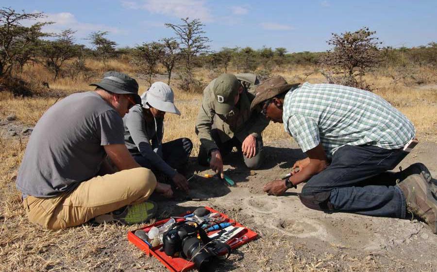 Blaine Maley, from the Idaho College of Osteopathic Medicine, works alongside Prabhat, Fannin, and Montgomery Fellow Charles Musiba at site A in Laetoli where the archaic footprints were found. 	Source: Shirley Rubin / Trustees of Dartmouth College