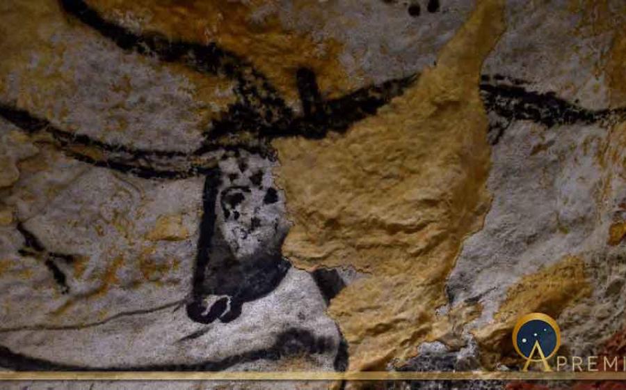 Head of aurochs in the Lascaux caves in France. Source: bobdu11 / Adobe Stock