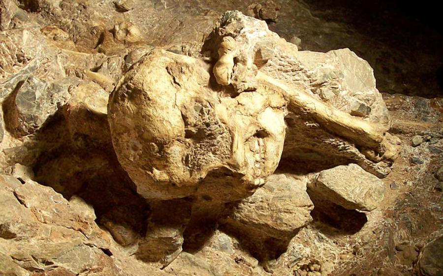 Little Foot skull still in place in the Sterkfontein cave. 