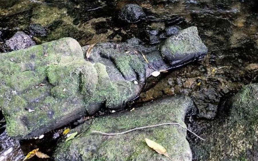 A fisherman found this Madonna in a river near Santiago de Compostela, Spain. Source: Conchi Paz via Apatrigal