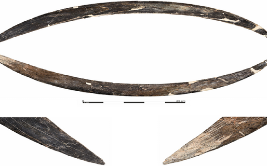 Mammoth ivory boomerang from Obłazowa Cave, Poland