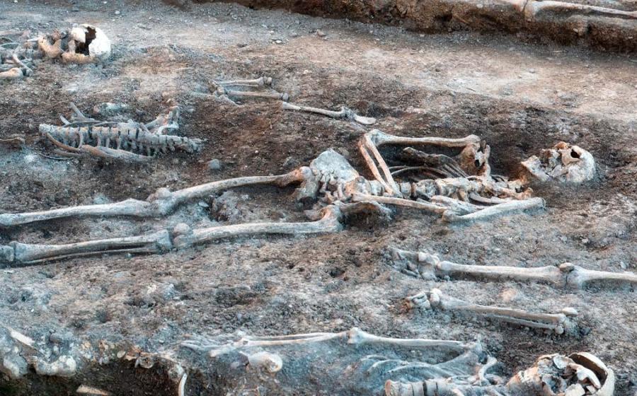 Skeletons in a mass grave. Source: EKH-Pictures / Adobe Stock.
