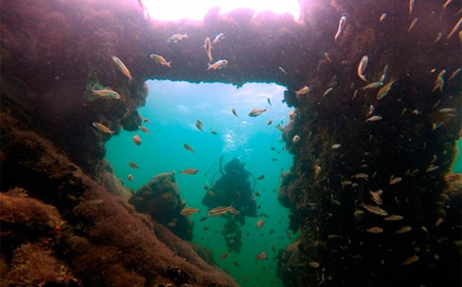 The shipwreck found in the Gulf of Mexico has been identified as being the wreck of La Unión, a steamship used to take Maya slaves to Cuba in the aftermath of the War of the Castes. In the image a marine archaeologist inspects the detail of the seesaw steam engine off the coast of Sisal, Mexico. Source: Helena Barba / INAH