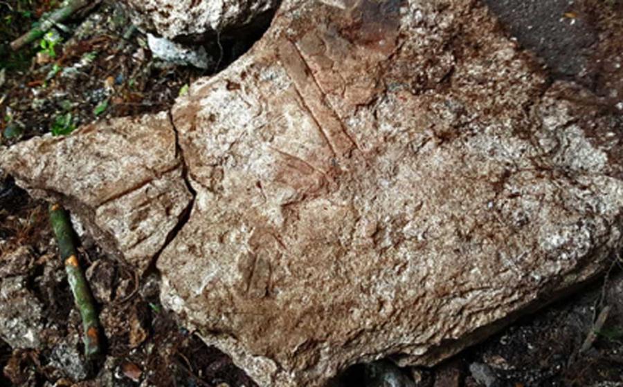Inscribed stone from a monument at Witzna with scorching dated to 697.      Source: Francisco Estrada-Belli / Nature Magazine