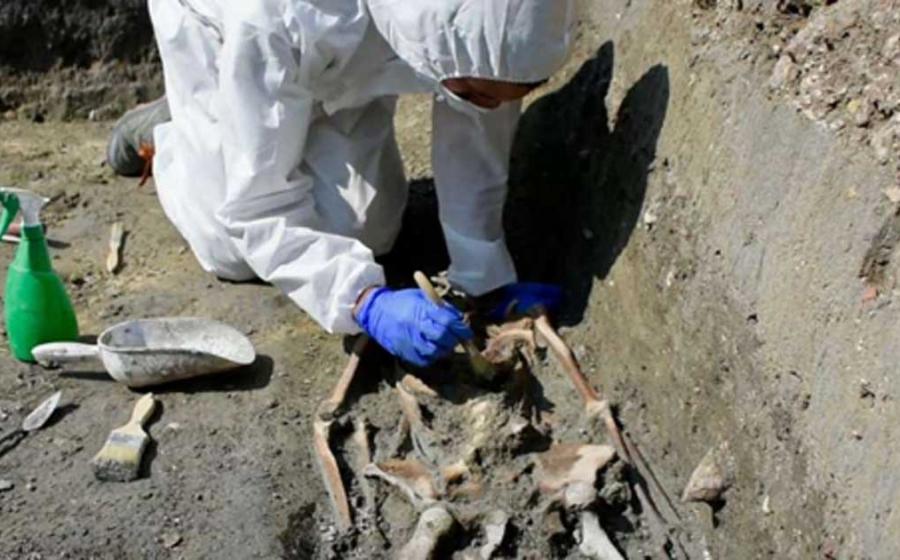 This is the skeleton discovered during excavations exploring Medieval life on Torcello Island, Venice, Italy. 