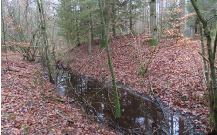 Moat around the lost Medieval town of Stolzenberg.