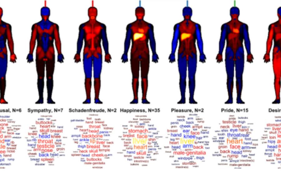 Some Patterns of emotions included in the 18 principal emotional categories across the body.