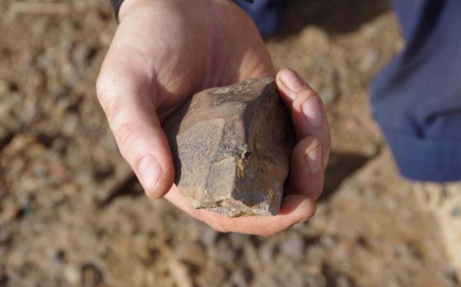 Human Evolutionary Theory Needs Updating, Again