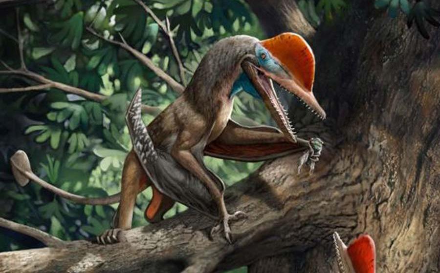 2020, Year of the Deeply Ancient Beasts