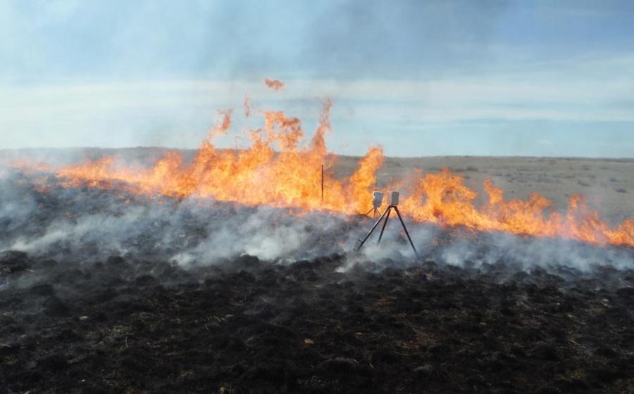 Montana burn