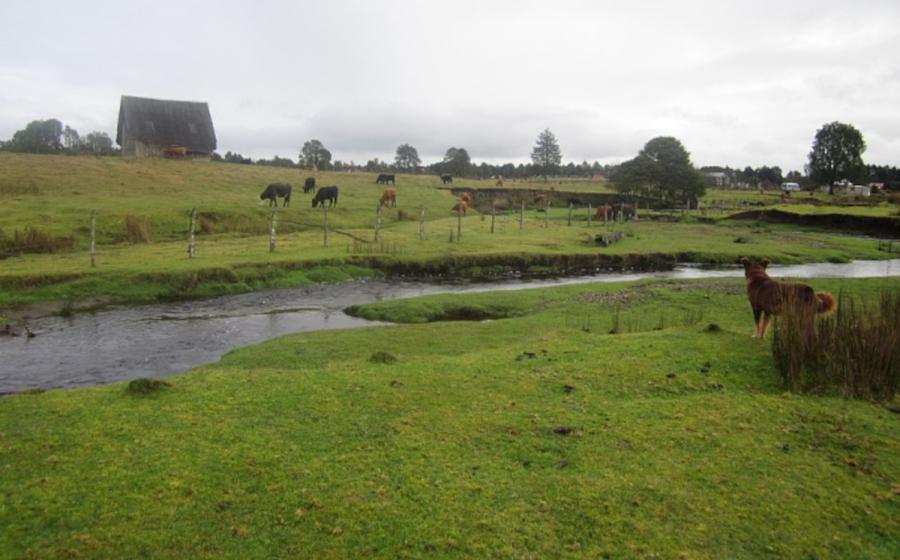 Monte Verde archaeological site, Chile.